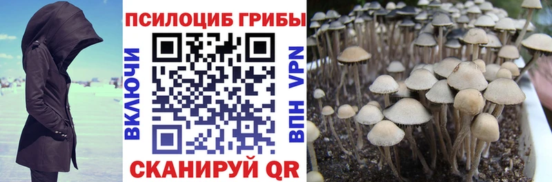 Псилоцибиновые грибы мицелий Тула